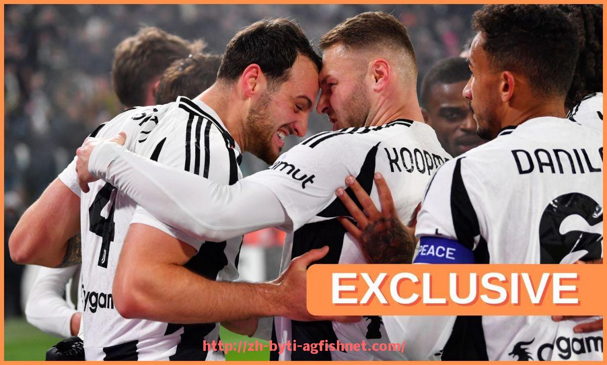 AG捕鱼王官网-世俱杯比赛场馆安排指南：从选址到布置的全景方案